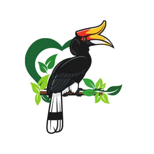 A representative image for the Kehatiku Program